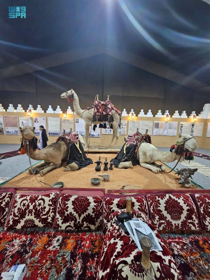 مهرجان الملك عبدالعزيز للإبل .. عروض تفاعلية تحاكي أصالة الماضي وعراقة الحاضر