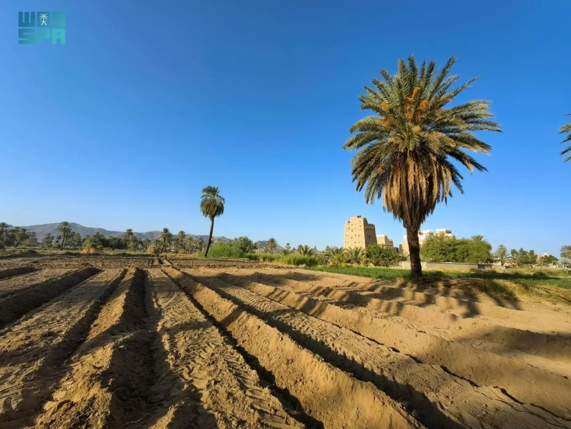 المزارع وبيوت الطين في نجران وجهة جاذبة للسياح