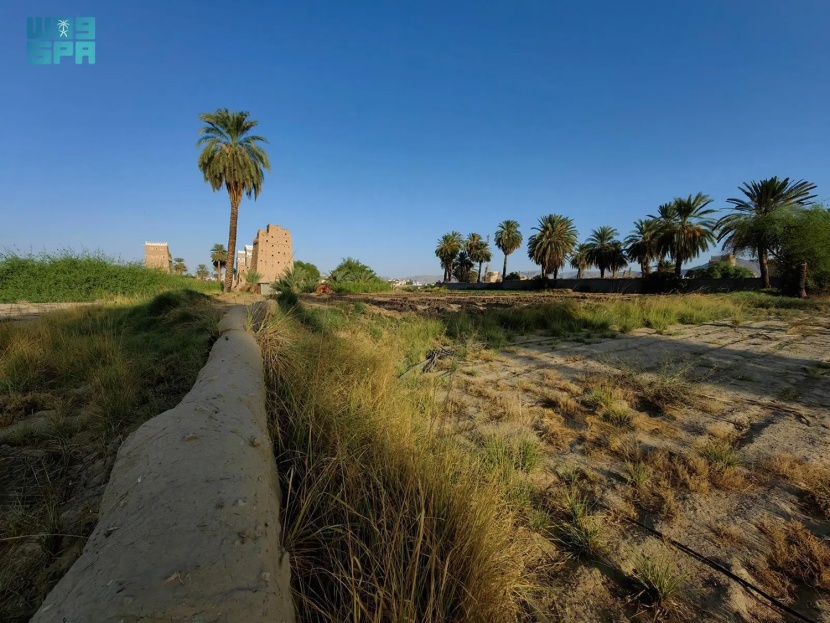 المزارع وبيوت الطين في نجران وجهة جاذبة للسياح