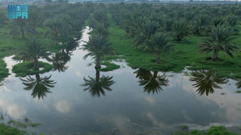 «وادي أبو حليفاء» يجمع جمال الطبيعة ومحبي الرحلات البرية