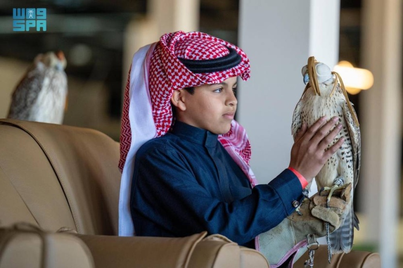 الصقار الصغير