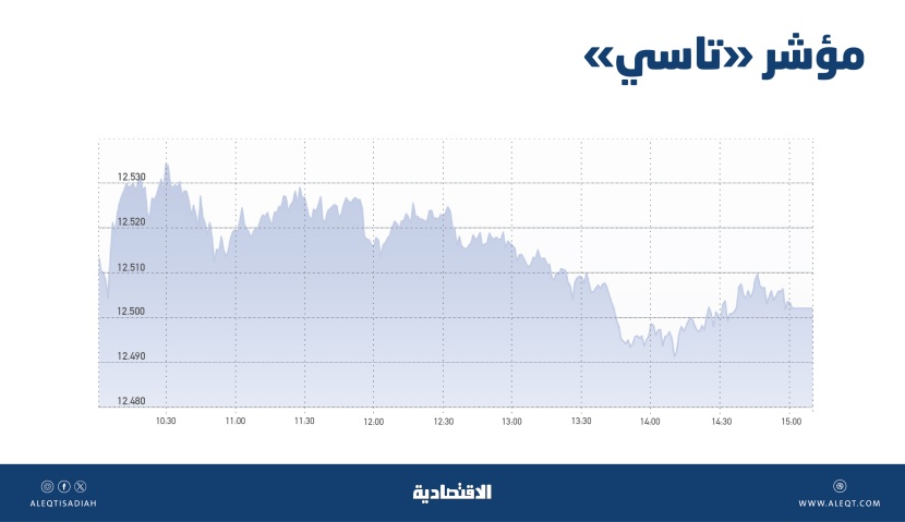 ضغوط بيع تفقد «تاسي» ثلثي المكاسب في جلسة و59 % من السيولة للشركات الصغيرة