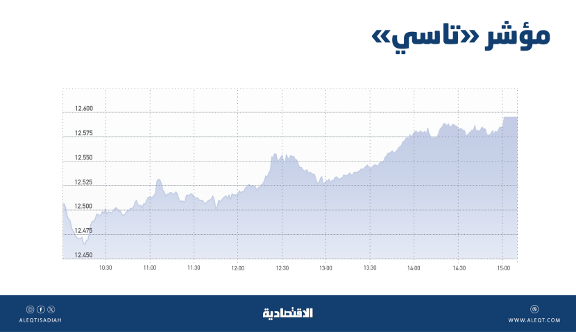 «تاسي» يسجل أطول سلسلة ارتفاع منذ 12 عاما وأسهم الشركات المتوسطة الأفضل أداء