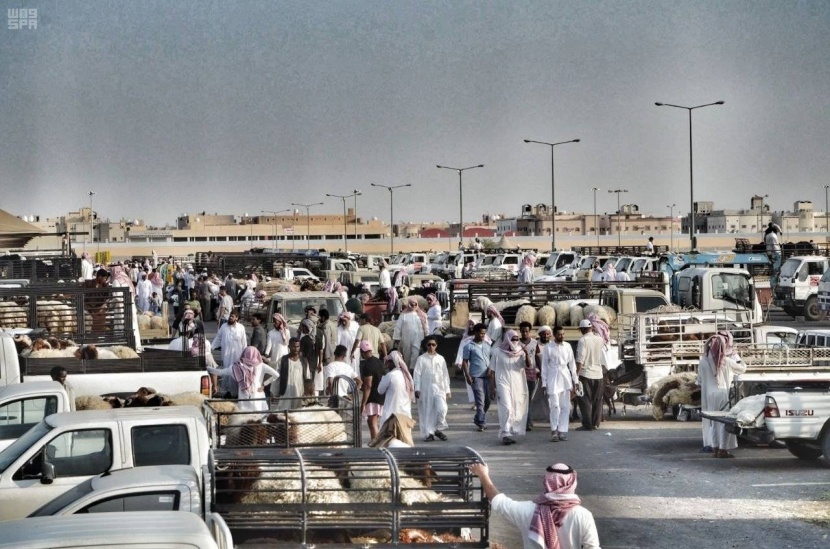 "البيئة": استيراد 1.8 مليون رأس من الماشية تلبية للطلب المتزايد خلال رمضان والحج