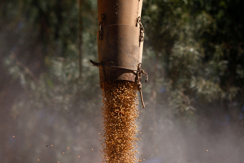 تراجع الأسعار العالمية يزيد حالات الإفلاس في القطاع الزراعي البرازيلي