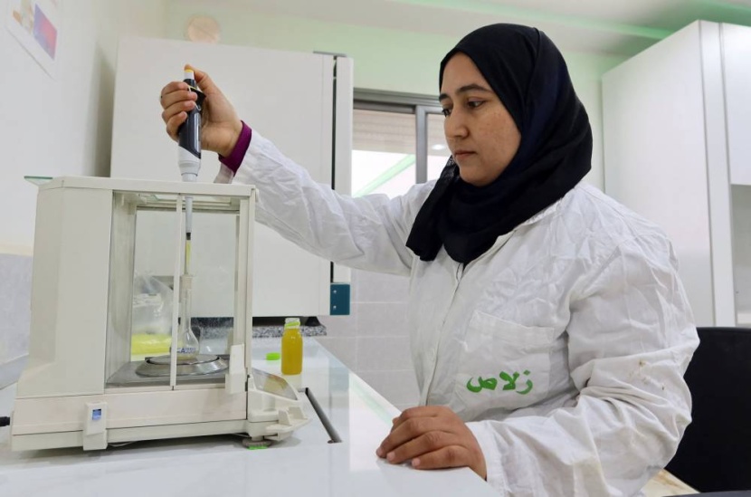 منتجو "الذهب الأخضر" في تونس يواجهون تحديات التمويل ونقص مصانع التعبئة