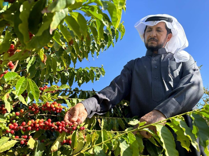 السعودية تسعى لإرساء مكانتها كقوة مؤثرة في سوق القهوة العالمية مع بلوغ القطاع 15.3 مليار ريال في 2023