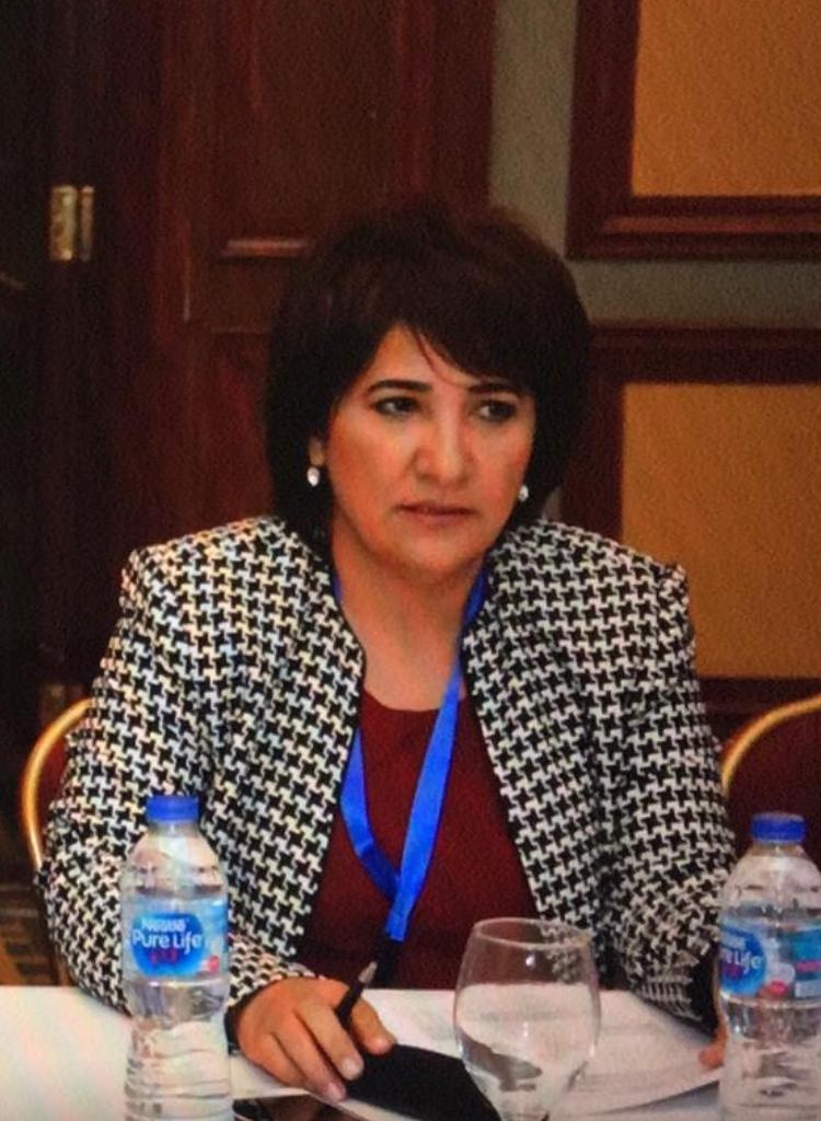 مدير الطاقة بالجامعة العربية: 4 أهداف لسوق الكهرباء المشتركة بينها توسعة الربط