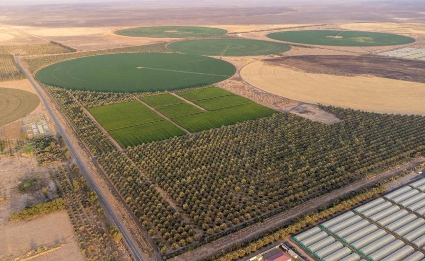 12 % إسهام صندوق التنمية الزراعية في الناتج الزراعي السعودي خلال 2023